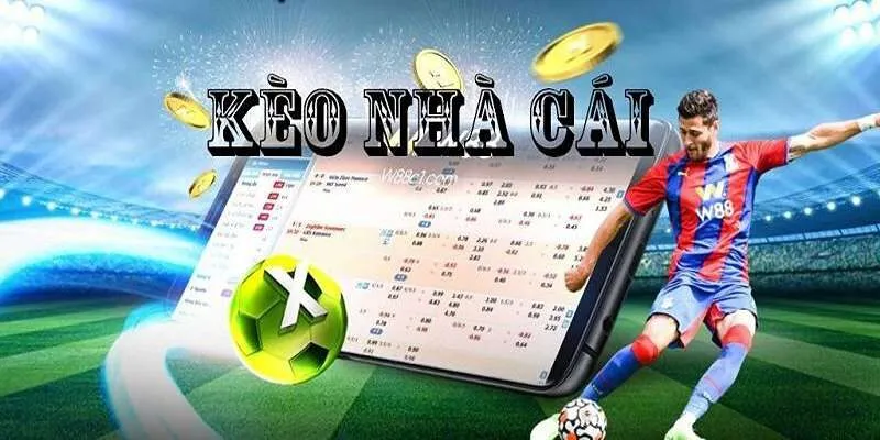 keo nha cai nohu90 4